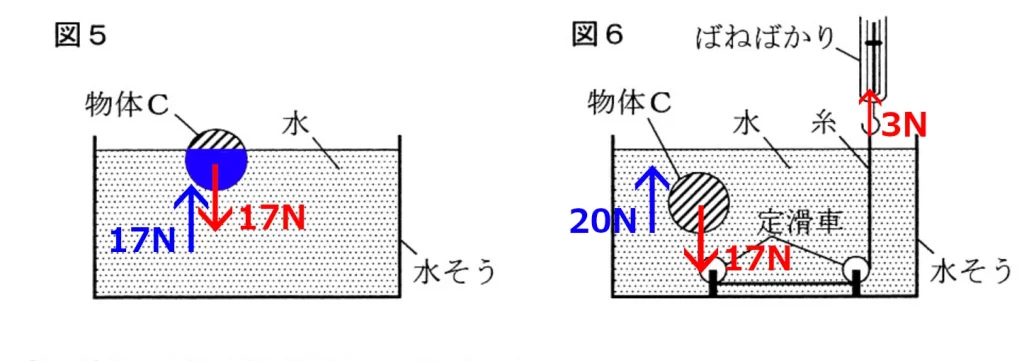 2024 理科図5,6