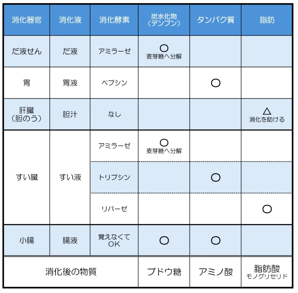 中学理科 消化酵素の働き