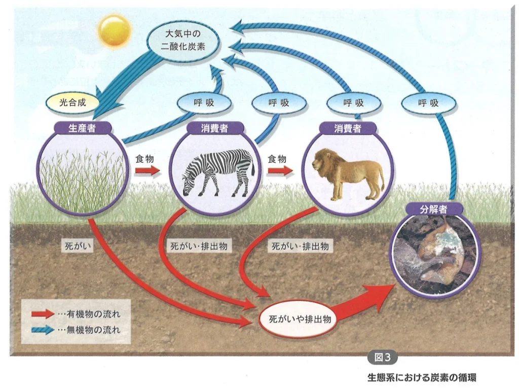 実践問題 理科1-2図